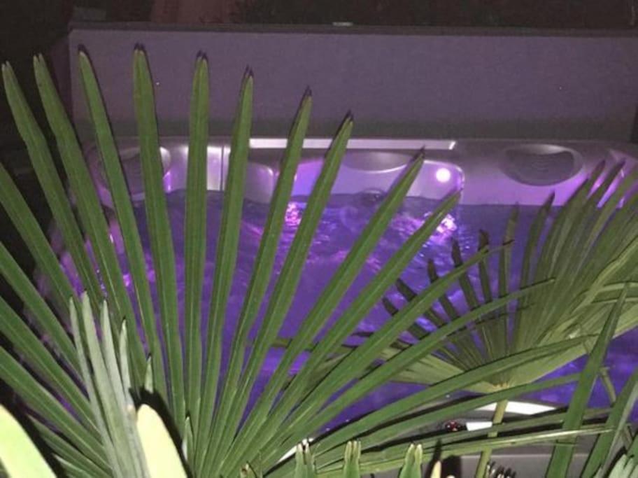 Un Petit Coin De Paradis Τουλούζη Εξωτερικό φωτογραφία