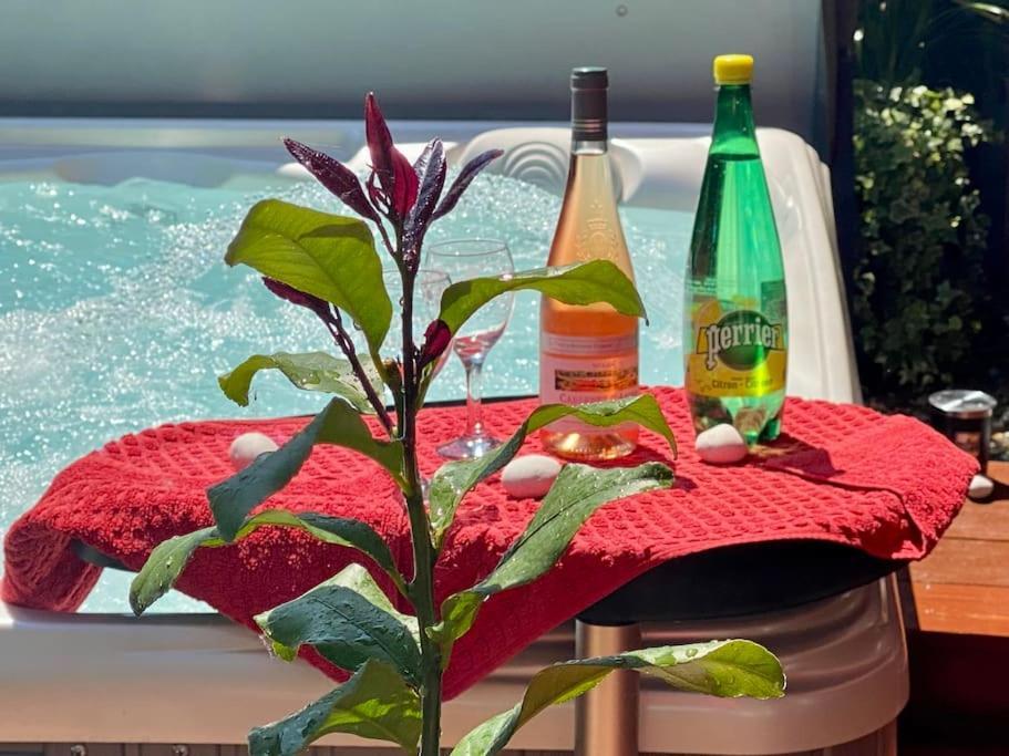 Un Petit Coin De Paradis Τουλούζη Εξωτερικό φωτογραφία