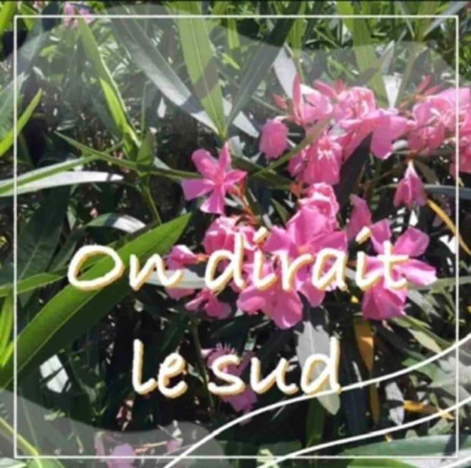 Un Petit Coin De Paradis Τουλούζη Εξωτερικό φωτογραφία