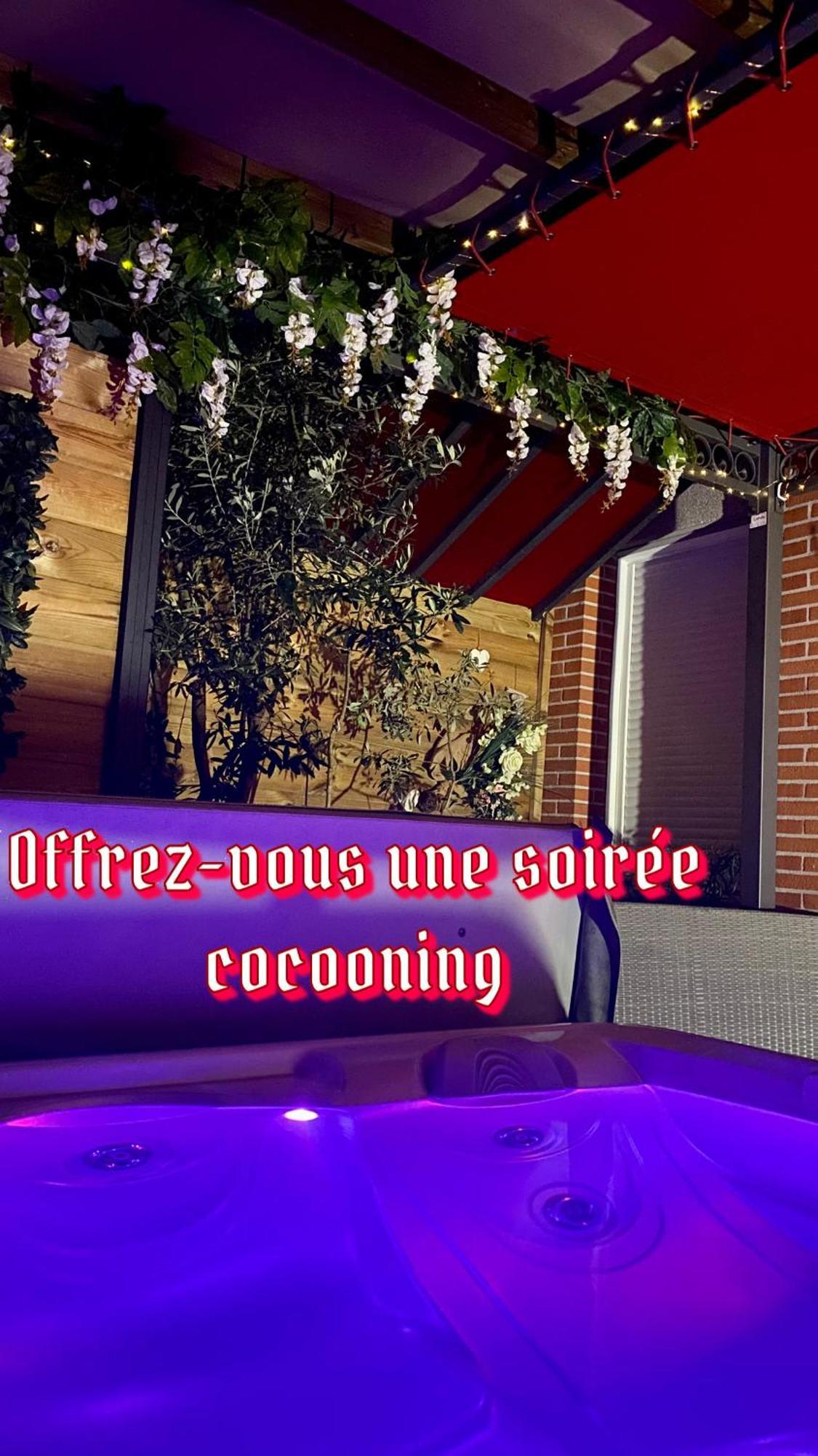 Un Petit Coin De Paradis Τουλούζη Εξωτερικό φωτογραφία